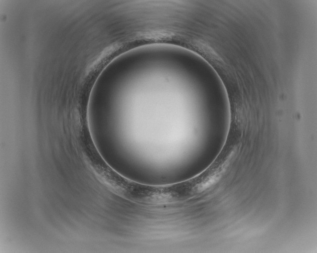 X0000073900256200608111137