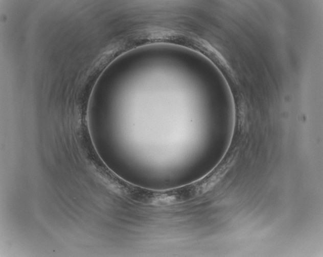 X0000073900257200608111137