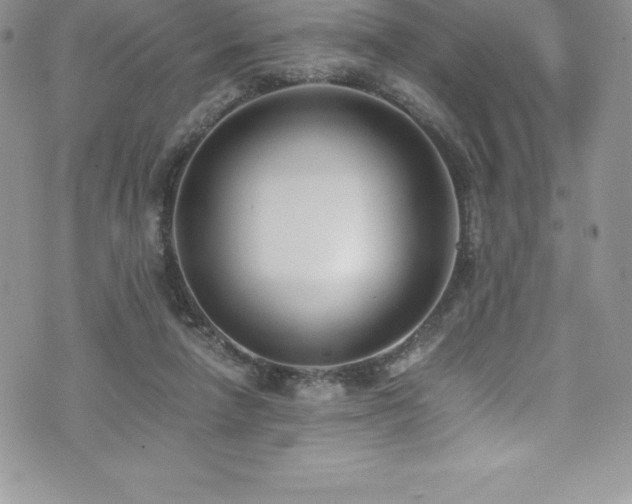 X0000073900258200608111137