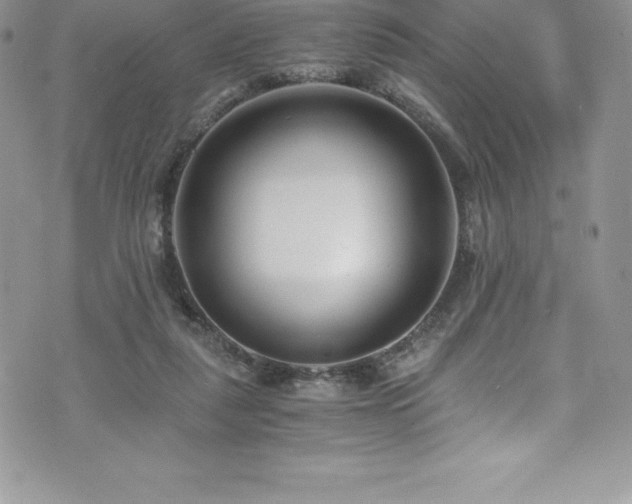 X0000073900259200608111137