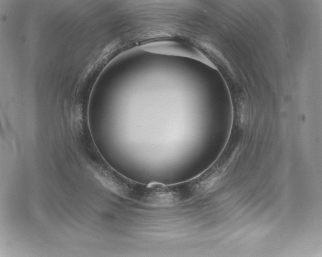 X0000073900260200608111137