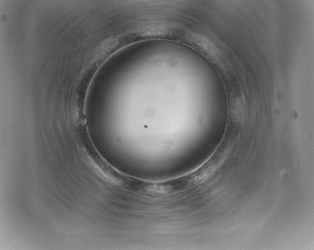 X0000073900261200608111137