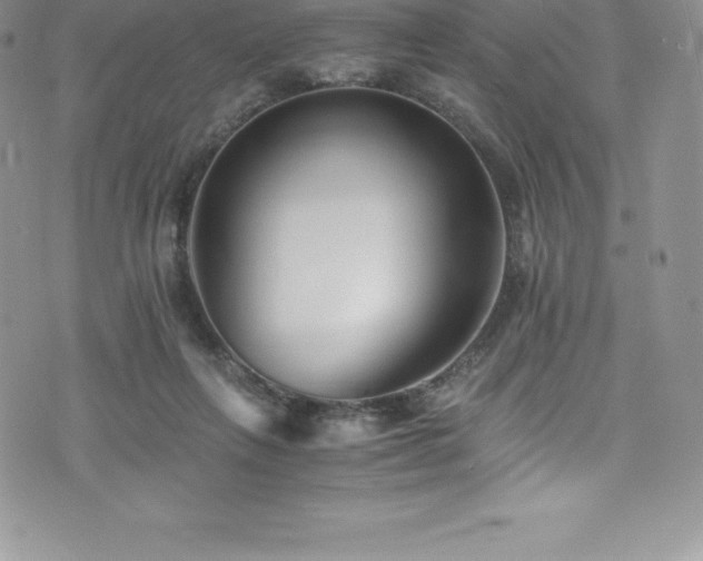 X0000073900263200608111137