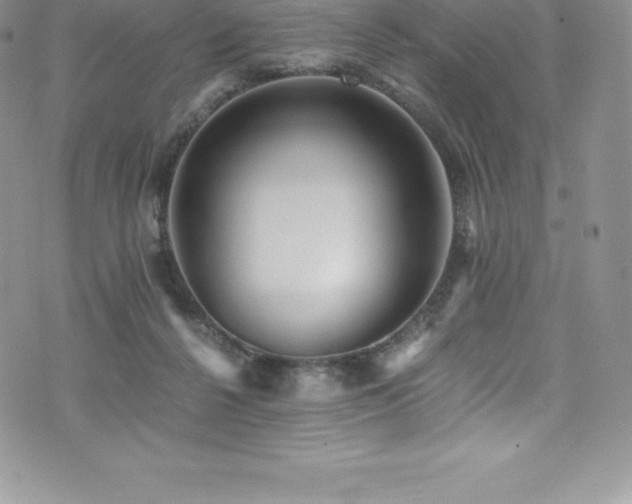 X0000073900264200608111137