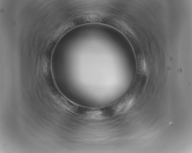 X0000073900266200608111137