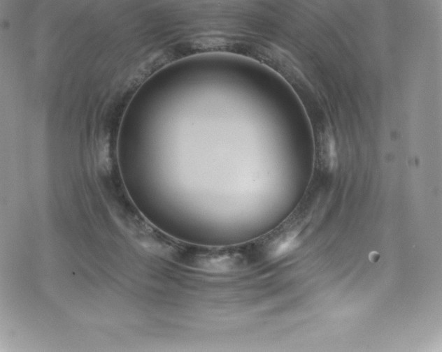 X0000073900267200608111137