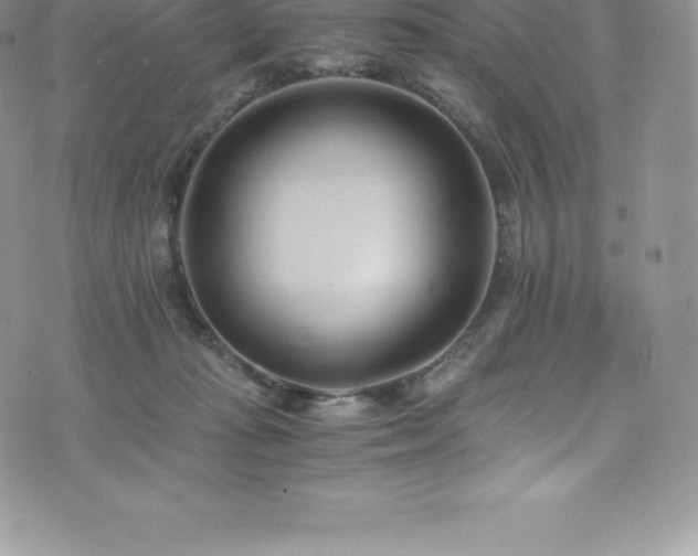 X0000073900269200608111137