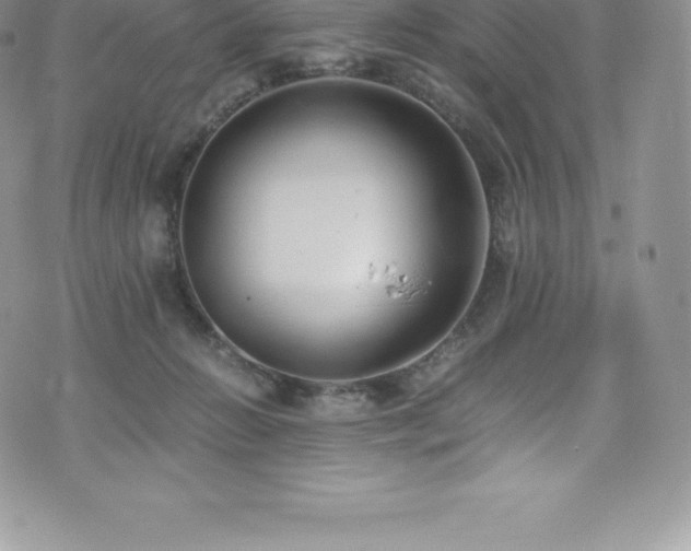 X0000073900270200608111137