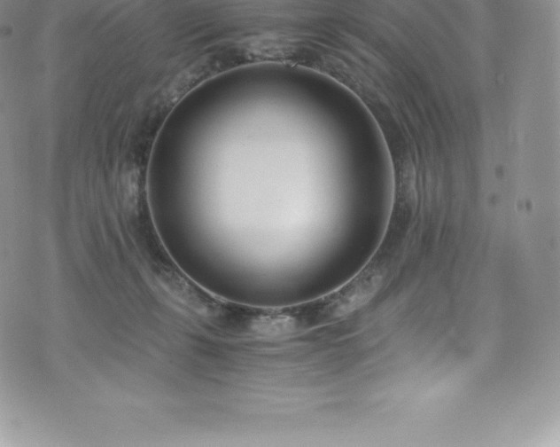 X0000073900271200608111137