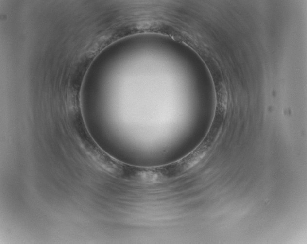 X0000073900272200608111137