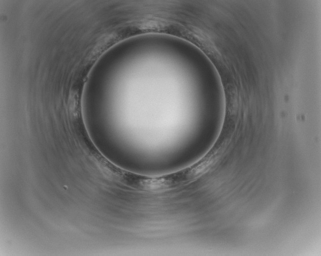 X0000073900273200608111138