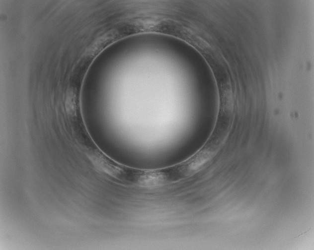 X0000073900274200608111138