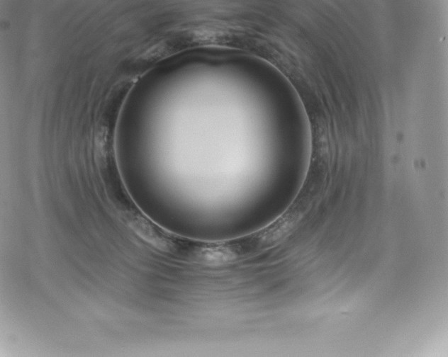 X0000073900275200608111138