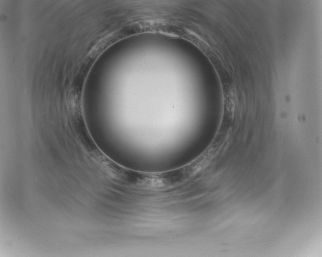 X0000073900276200608111138