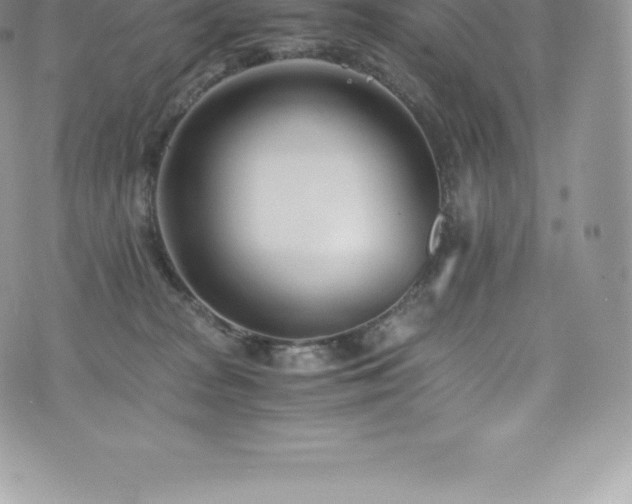 X0000073900277200608111138