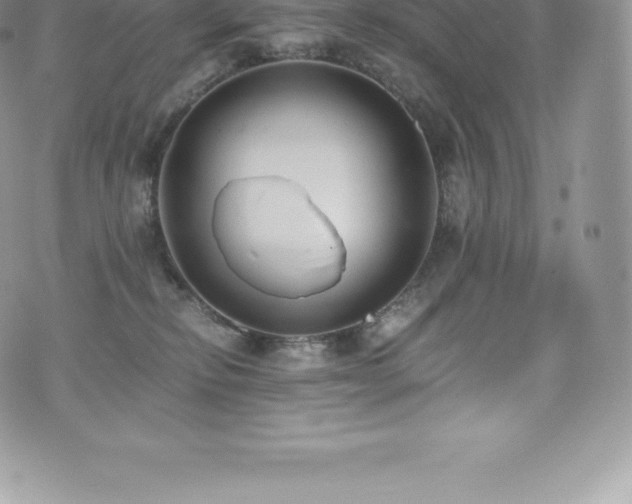 X0000073900278200608111138