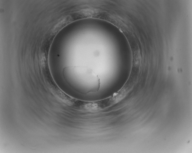 X0000073900279200608111138