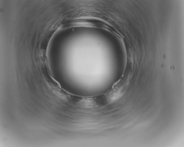 X0000073900280200608111138