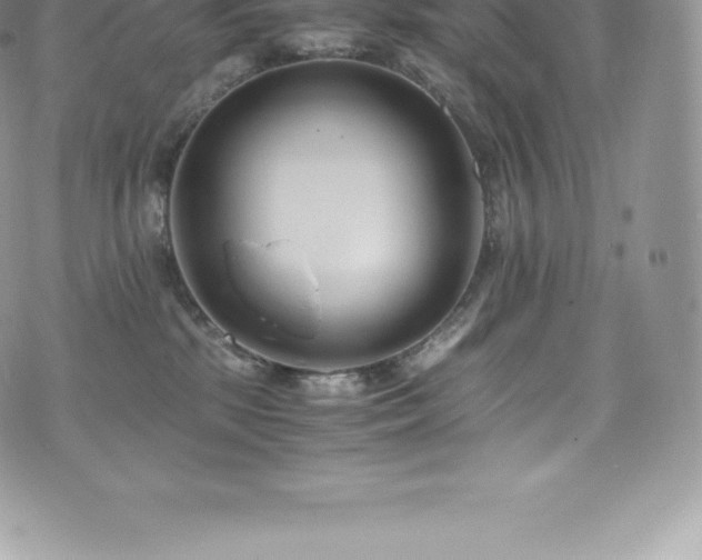 X0000073900281200608111138