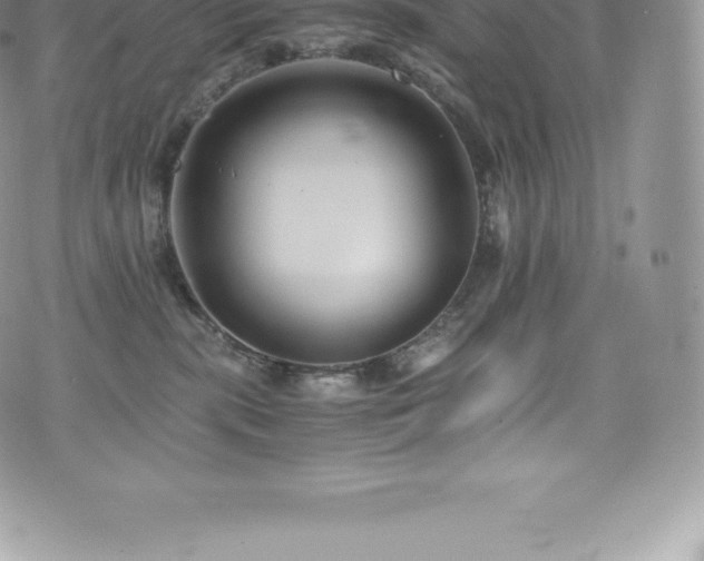 X0000073900283200608111138