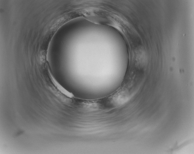 X0000073900284200608111138