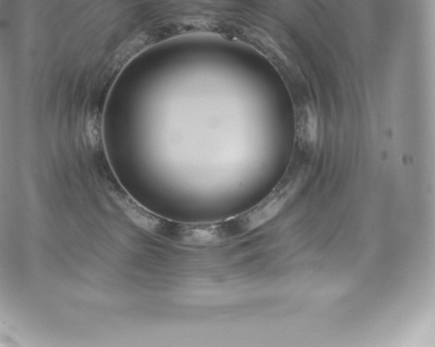 X0000073900285200608111138