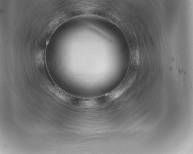 X0000073900286200608111138