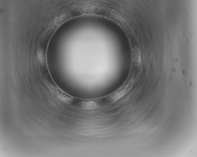 X0000073900287200608111138