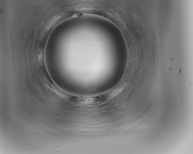 X0000073900288200608111138