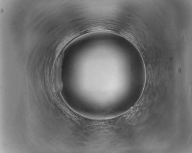 X0000073900289200608111137