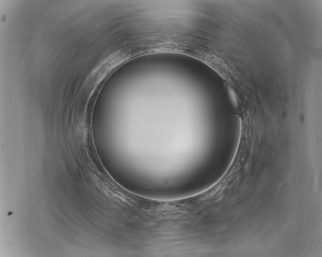 X0000073900290200608111137