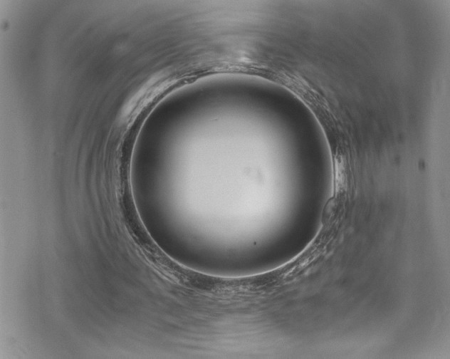 X0000073900291200608111137