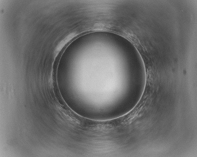 X0000073900292200608111137