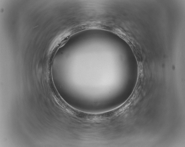 X0000073900293200608111137