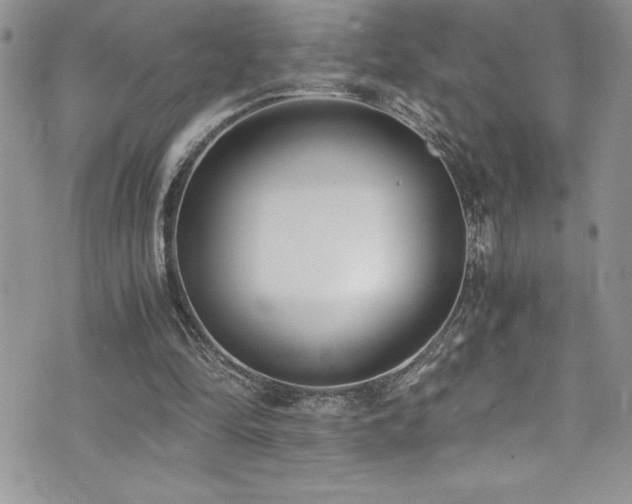 X0000073900294200608111137