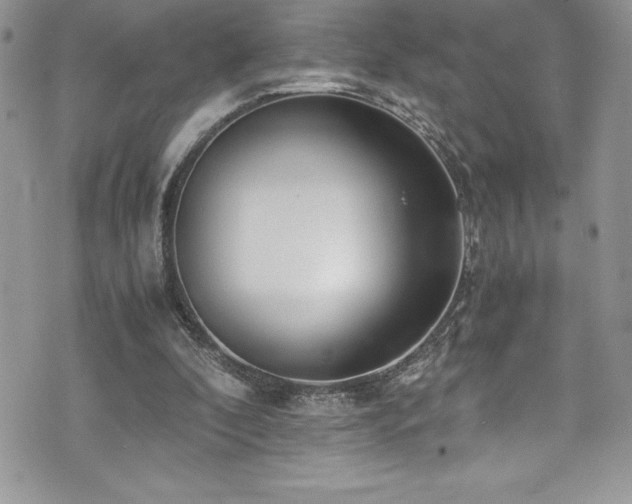 X0000073900296200608111137