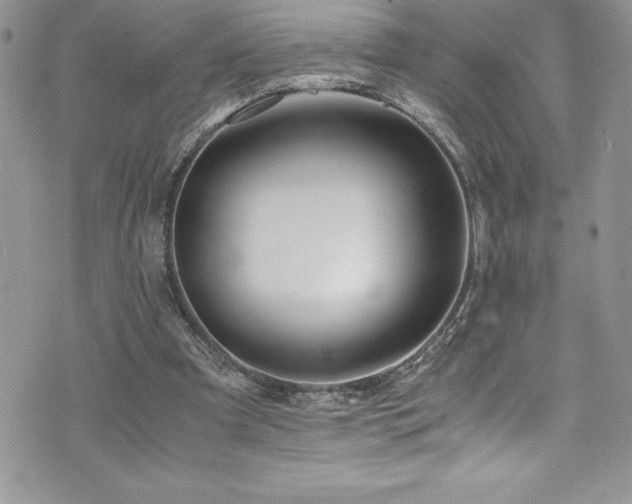 X0000073900297200608111137