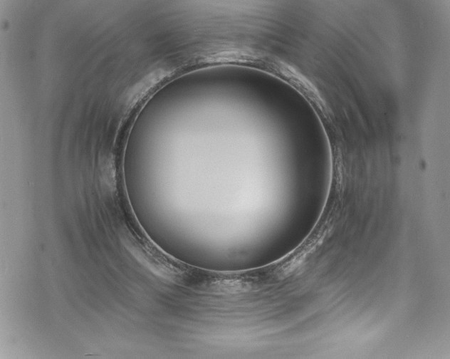 X0000073900298200608111137