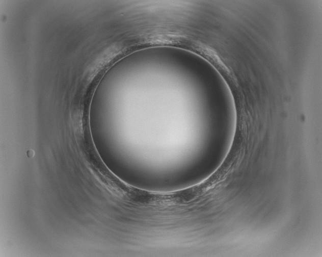 X0000073900299200608111137