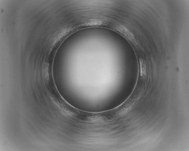 X0000073900300200608111137