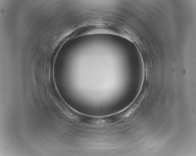 X0000073900301200608111137