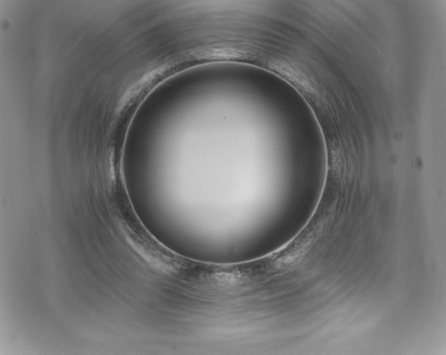 X0000073900302200608111137