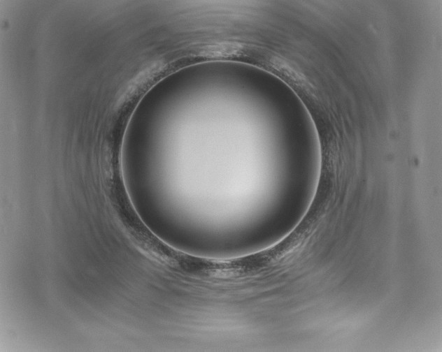 X0000073900303200608111137