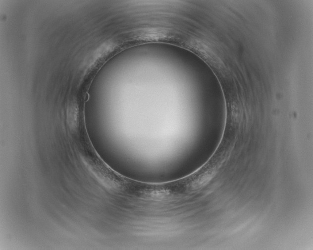 X0000073900304200608111137