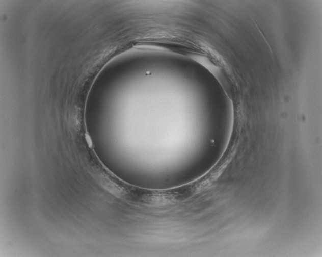 X0000073900305200608111137