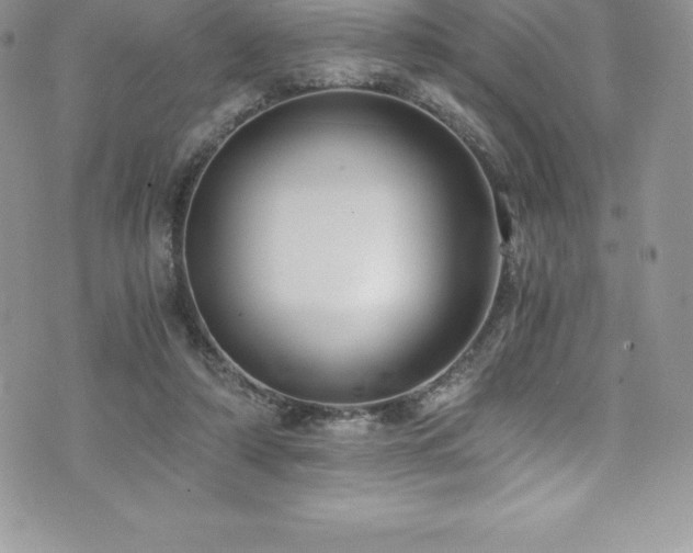 X0000073900306200608111137