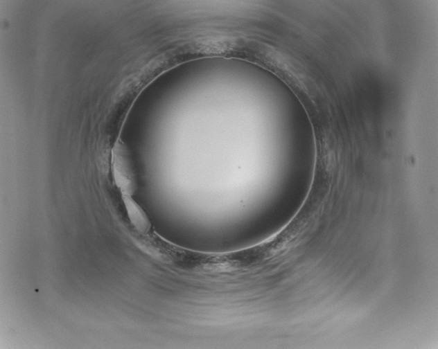 X0000073900307200608111137