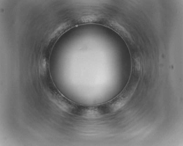 X0000073900308200608111137