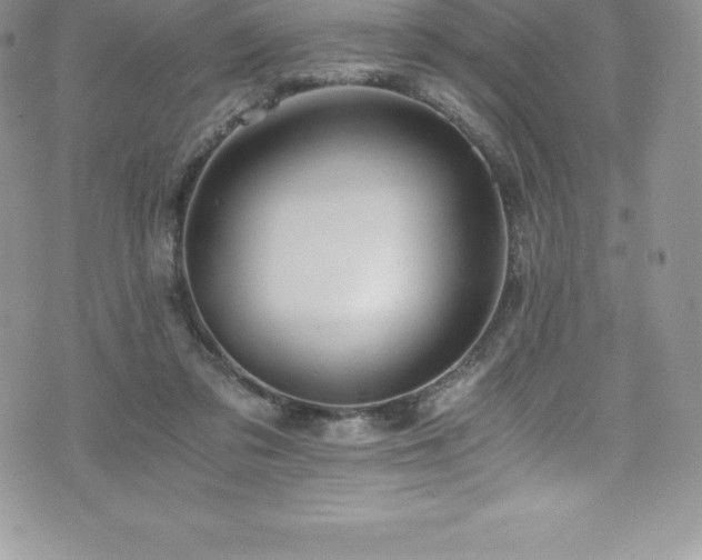 X0000073900309200608111137