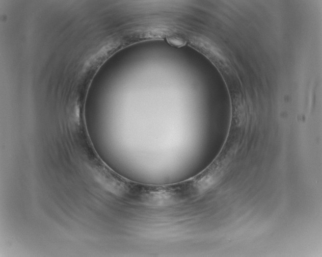 X0000073900310200608111137